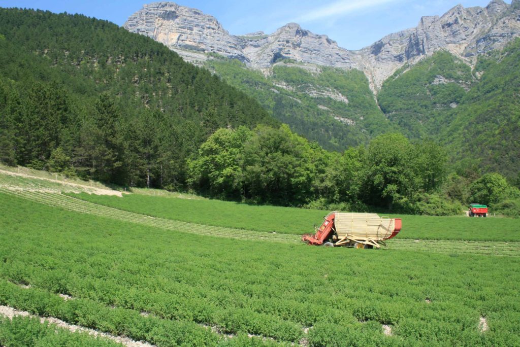 Sapad - Drôme