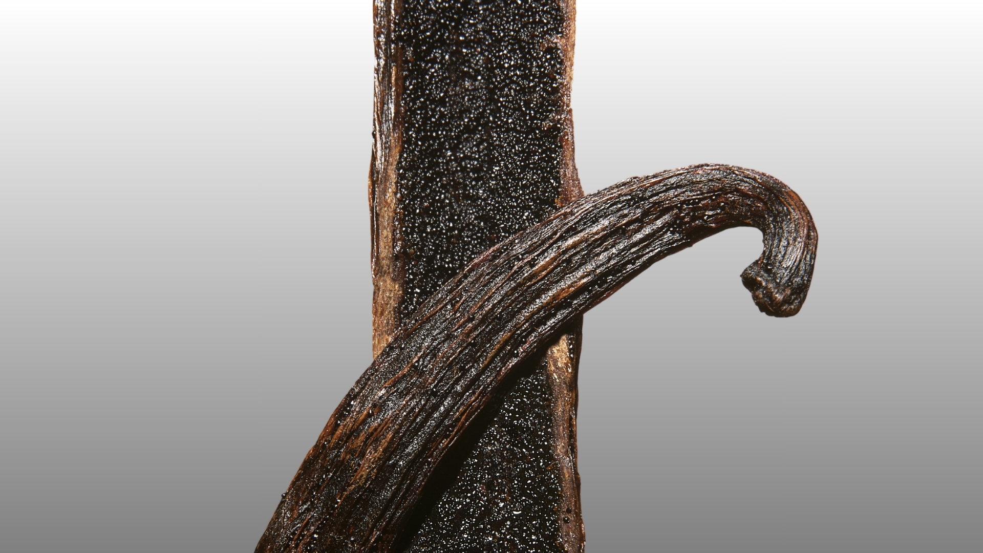 Résultats annuels 2025