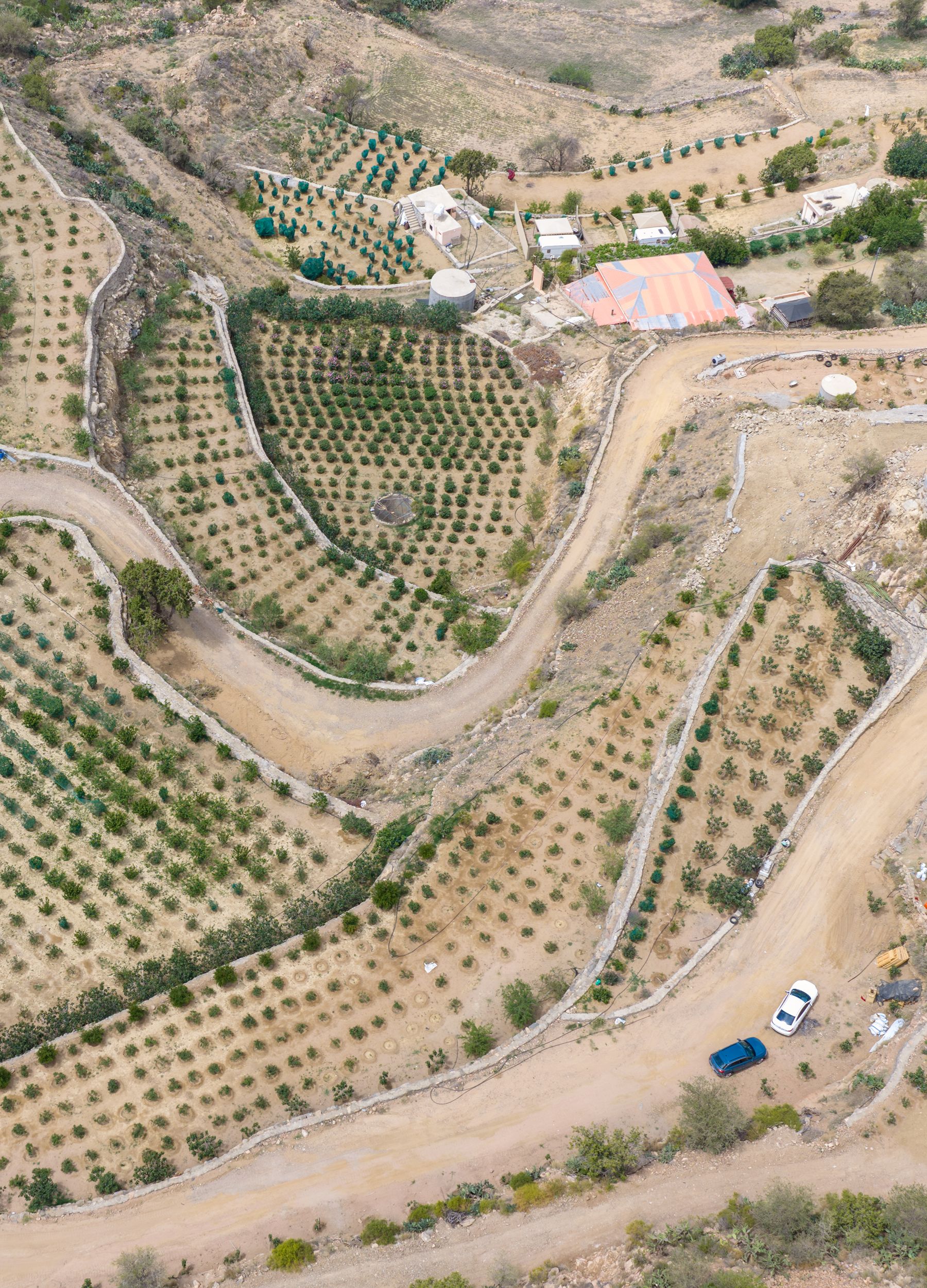 image site Roberte